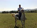 Натиснете снимката за да я уголемите

Име:бейзат 2 002.jpg
Прегледи:344
Размер:148.8 КБ
ID:5114456