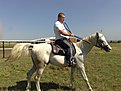 Натиснете снимката за да я уголемите

Име:бейзат 2 001.jpg
Прегледи:432
Размер:150.9 КБ
ID:5114466