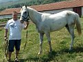 Натиснете снимката за да я уголемите

Име:бейзат 3 022.jpg
Прегледи:362
Размер:169.0 КБ
ID:5115297