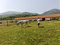 Натиснете снимката за да я уголемите

Име:бейзат 3 003.jpg
Прегледи:361
Размер:222.4 КБ
ID:5115299