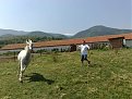 Натиснете снимката за да я уголемите

Име:бейзат 3 008.jpg
Прегледи:358
Размер:185.7 КБ
ID:5115300