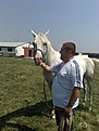 Натиснете снимката за да я уголемите

Име:бейзат 3 036.jpg
Прегледи:348
Размер:77.4 КБ
ID:5115302