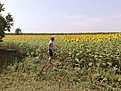 Натиснете снимката за да я уголемите

Име:mariq 1.jpg
Прегледи:87
Размер:162.0 КБ
ID:5115309