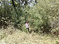 Натиснете снимката за да я уголемите

Име:mariq 3.jpg
Прегледи:86
Размер:252.0 КБ
ID:5115311