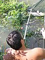 Натиснете снимката за да я уголемите

Име:IMGP1771.jpg
Прегледи:160
Размер:128.5 КБ
ID:5115384