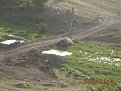 Натиснете снимката за да я уголемите

Име:pics 001.jpg
Прегледи:308
Размер:148.3 КБ
ID:5116831