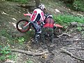 Натиснете снимката за да я уголемите

Име:100_0879.jpg
Прегледи:129
Размер:232.2 КБ
ID:5117715