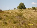 Натиснете снимката за да я уголемите

Име:IMG_1303.jpg
Прегледи:684
Размер:166.3 КБ
ID:5118450