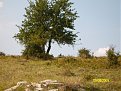 Натиснете снимката за да я уголемите

Име:IMG_1304.jpg
Прегледи:688
Размер:174.6 КБ
ID:5118451