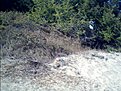 Натиснете снимката за да я уголемите

Име:IMG0012A.jpg
Прегледи:372
Размер:103.0 КБ
ID:5118748