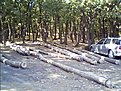 Натиснете снимката за да я уголемите

Име:IMG0013A.jpg
Прегледи:386
Размер:110.6 КБ
ID:5118749