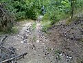 Натиснете снимката за да я уголемите

Име:Image028.jpg
Прегледи:131
Размер:204.0 КБ
ID:5118942