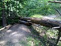 Натиснете снимката за да я уголемите

Име:Image031.jpg
Прегледи:140
Размер:210.7 КБ
ID:5118945