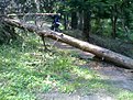 Натиснете снимката за да я уголемите

Име:Image032.jpg
Прегледи:130
Размер:209.3 КБ
ID:5118946
