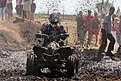 Натиснете снимката за да я уголемите

Име:IMG_0890f-forum.jpg
Прегледи:146
Размер:342.5 КБ
ID:5119196