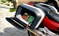 Натиснете снимката за да я уголемите

Име:1242631811_parenting_19.jpg
Прегледи:210
Размер:78.8 КБ
ID:5121185
