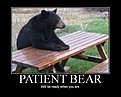 Натиснете снимката за да я уголемите

Име:patient bear.jpg
Прегледи:291
Размер:36.6 КБ
ID:5121515