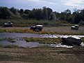 Натиснете снимката за да я уголемите

Име:DCP09890.jpg
Прегледи:194
Размер:133.4 КБ
ID:5122950