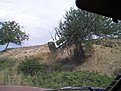 Натиснете снимката за да я уголемите

Име:DCP09895.jpg
Прегледи:177
Размер:139.8 КБ
ID:5122955