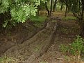 Натиснете снимката за да я уголемите

Име:DSC06417.jpg
Прегледи:192
Размер:182.4 КБ
ID:5123465