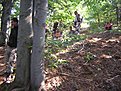 Натиснете снимката за да я уголемите

Име:enduro BG 011.jpg
Прегледи:167
Размер:235.2 КБ
ID:5123743
