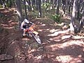 Натиснете снимката за да я уголемите

Име:enduro BG 014.jpg
Прегледи:168
Размер:205.8 КБ
ID:5123746