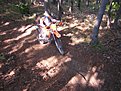 Натиснете снимката за да я уголемите

Име:enduro BG 015.jpg
Прегледи:161
Размер:226.3 КБ
ID:5123747