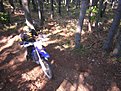 Натиснете снимката за да я уголемите

Име:enduro BG 017.jpg
Прегледи:158
Размер:202.7 КБ
ID:5123749