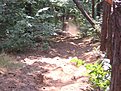 Натиснете снимката за да я уголемите

Име:enduro BG 034.jpg
Прегледи:334
Размер:196.0 КБ
ID:5123770