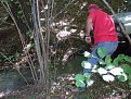 Натиснете снимката за да я уголемите

Име:P9200041.jpg
Прегледи:141
Размер:178.4 КБ
ID:5124950