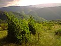 Натиснете снимката за да я уголемите

Име:Изображение0115.jpg
Прегледи:103
Размер:140.6 КБ
ID:5125073
