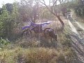 Натиснете снимката за да я уголемите

Име:Photo-0038.jpg
Прегледи:274
Размер:224.1 КБ
ID:5125305