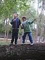 Натиснете снимката за да я уголемите

Име:IMG_9788.jpg
Прегледи:212
Размер:105.4 КБ
ID:5126158