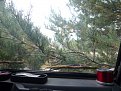 Натиснете снимката за да я уголемите

Име:P1000235_resize.JPG
Прегледи:106
Размер:235.2 КБ
ID:5126232