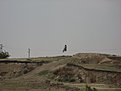 Натиснете снимката за да я уголемите

Име:Picture 007.jpg
Прегледи:262
Размер:79.7 КБ
ID:5126359