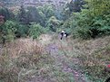 Натиснете снимката за да я уголемите

Име:Liulin planina 03.10.2009 004.jpg
Прегледи:143
Размер:198.8 КБ
ID:5126830