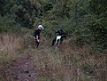 Натиснете снимката за да я уголемите

Име:Liulin planina 03.10.2009 005.jpg
Прегледи:145
Размер:141.1 КБ
ID:5126831