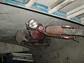 Натиснете снимката за да я уголемите

Име:IMG_0260.jpg
Прегледи:196
Размер:157.2 КБ
ID:5126861