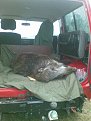 Натиснете снимката за да я уголемите

Име:b 012.jpg
Прегледи:603
Размер:74.5 КБ
ID:5126969