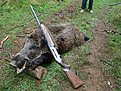 Натиснете снимката за да я уголемите

Име:DSC01134.jpg
Прегледи:291
Размер:341.5 КБ
ID:5127016