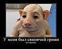 Натиснете снимката за да я уголемите

Име:свиной грипп.jpg
Прегледи:272
Размер:48.2 КБ
ID:5127024