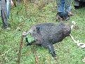 Натиснете снимката за да я уголемите

Име:STA61396.jpg
Прегледи:231
Размер:208.8 КБ
ID:5127644