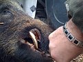 Натиснете снимката за да я уголемите

Име:Picture 034.jpg
Прегледи:240
Размер:176.6 КБ
ID:5128013