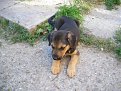 Натиснете снимката за да я уголемите

Име:IMGP0590.jpg
Прегледи:508
Размер:194.8 КБ
ID:5128270