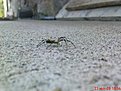 Натиснете снимката за да я уголемите

Име:DSC00981.jpg
Прегледи:448
Размер:115.3 КБ
ID:5129386