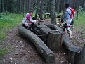 Натиснете снимката за да я уголемите

Име:DSC03798.jpg
Прегледи:133
Размер:196.8 КБ
ID:5129597