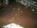 Натиснете снимката за да я уголемите

Име:IMG_5885.JPG
Прегледи:266
Размер:471.7 КБ
ID:5129625