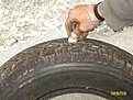 Натиснете снимката за да я уголемите

Име:ALIM0639.jpg
Прегледи:108
Размер:148.0 КБ
ID:5129651