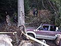 Натиснете снимката за да я уголемите

Име:SDC10889.jpg
Прегледи:245
Размер:198.3 КБ
ID:5129875