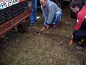 Натиснете снимката за да я уголемите

Име:SDC10953.jpg
Прегледи:248
Размер:139.1 КБ
ID:5129880
